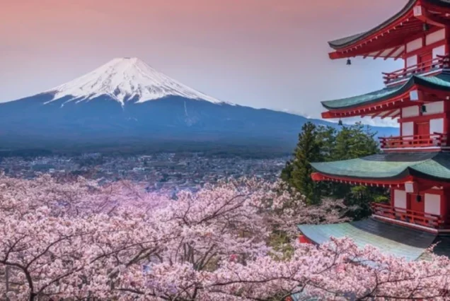 Japan 6D5N Tour – Osaka, Kyoto, Fuji & Tokyo